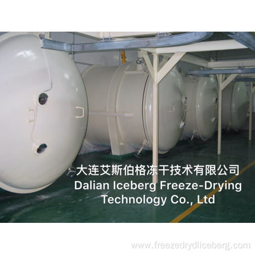 Heating Area 100m2 Freeze Dryer